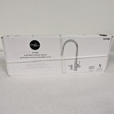 Project Source Ethan Pull Down Kitchen Faucet