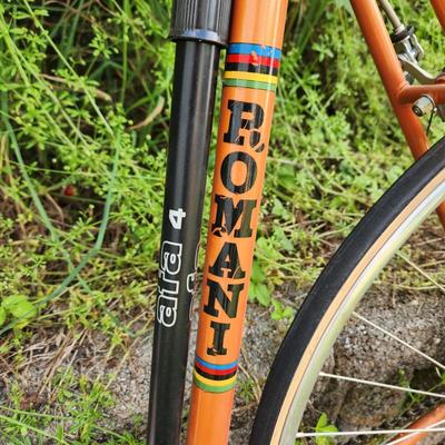 Vintage Auto Sur Cator Romani Made in Italy Men's Bicycle Bike