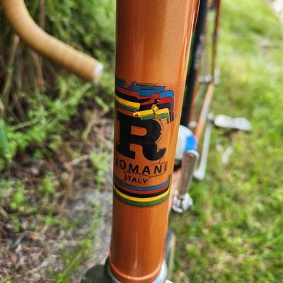 Vintage Auto Sur Cator Romani Made in Italy Men's Bicycle Bike