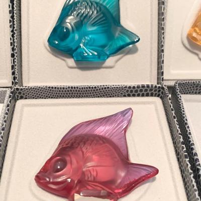SIX Lalique Fish in Original Boxes