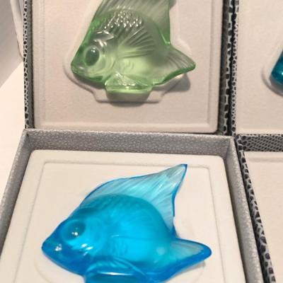 SIX Lalique Fish in Original Boxes