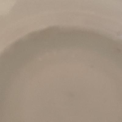 ARCOPAL CHINA FROM FRANCE