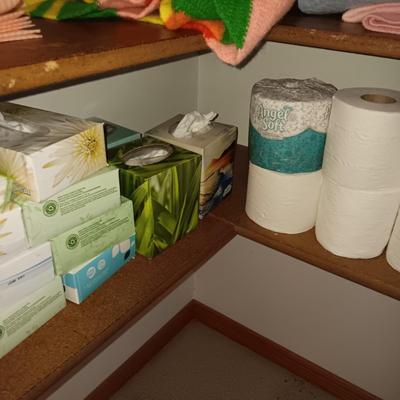 MANY BOXES OF KLEENEX AND SOME ROLLS OF TOILET PAPER PLUS MISC ITEMS