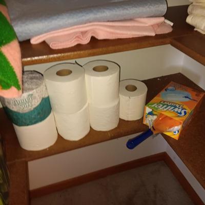 MANY BOXES OF KLEENEX AND SOME ROLLS OF TOILET PAPER PLUS MISC ITEMS