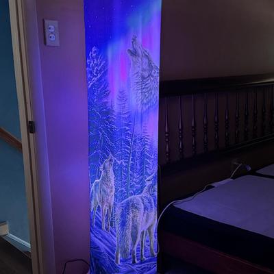 Multi-Color Light Wolf Lamp