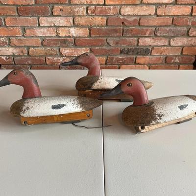 Lot of Decoy Ducks