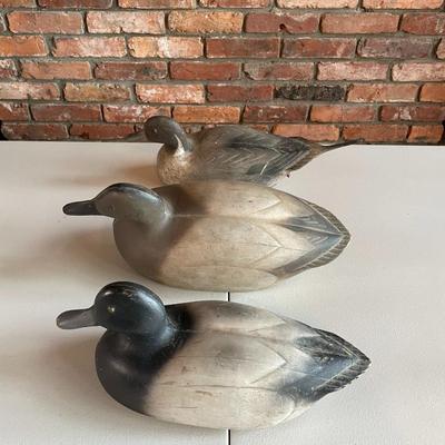 Lot of Decoy Ducks