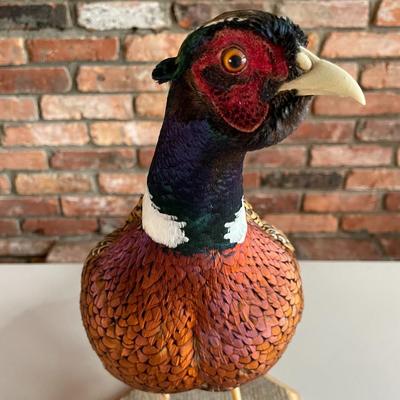 Stuffed Ring-Necked Pheasant