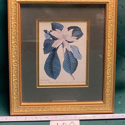 Magnolia Picture
