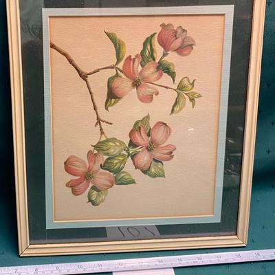 1950s Dogwood Flower Picture