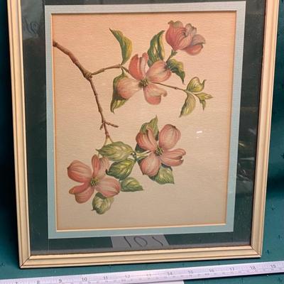 1950s Dogwood Flower Picture