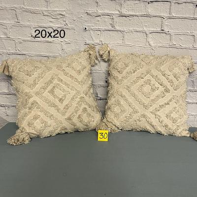 Set of Throw Pillows with Removable Covers - 20x20