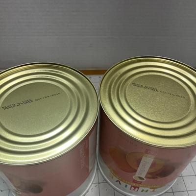 2 Thrive Premium Freeze Dried Peach Slices - 9oz - Food Storage Cans (Shelf Reliance)