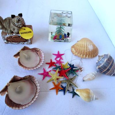Lot of Shells and Starfish, Shell Candles, Florida Pen Holder, Dog Figure