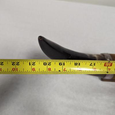 Western Decor Mounted Bull Horns