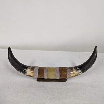 Western Decor Mounted Bull Horns