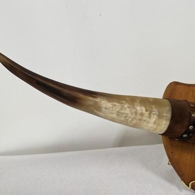 Mounted Bull Horns