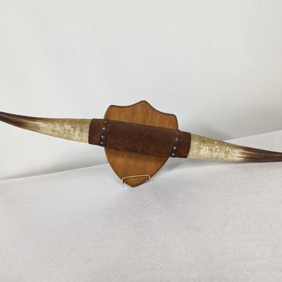 Mounted Bull Horns
