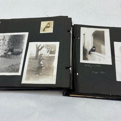 Antique Photograph Album, family photos, travel, wonderful quality photographs