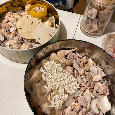 Tub of Shells Lifetime Collection