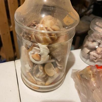 Tub of Shells Lifetime Collection