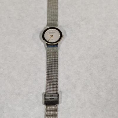 Skagen Denmark Designs 358SGSC Watch