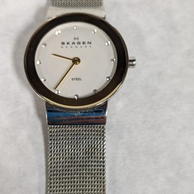 Skagen Denmark Designs 358SGSC Watch