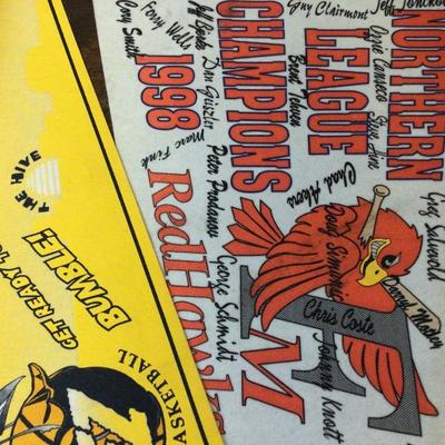 RedHawks/ Bee’s Pennants