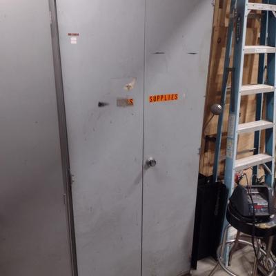 Shop Metal Storage Cabinet Double Door Choice B (No Contents)