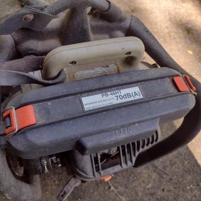 Echo Brand Backpack Leaf Blower
