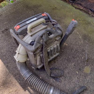 Echo Brand Backpack Leaf Blower
