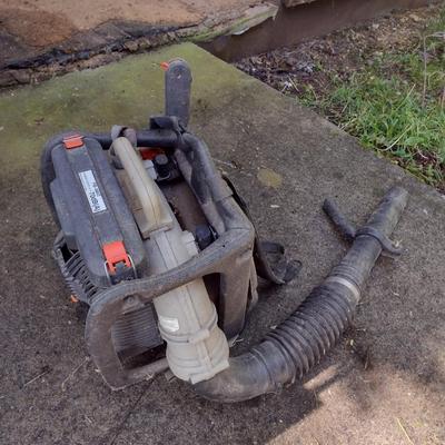 Echo Brand Backpack Leaf Blower