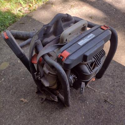 Echo Brand Backpack Leaf Blower