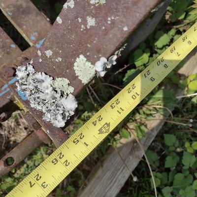 Seven Tine Ground Tiller Farm Implement