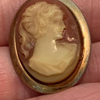 Vintage Cameo Lot Brooches & Clip On Earrings