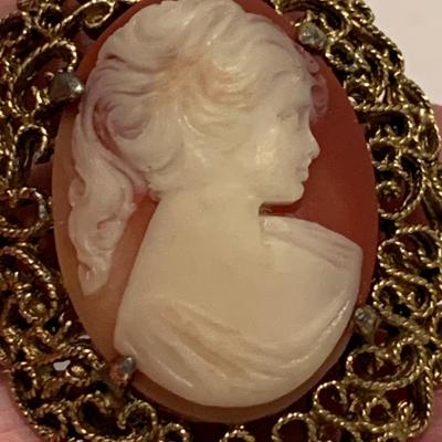 Vintage Cameo Lot Brooches & Clip On Earrings