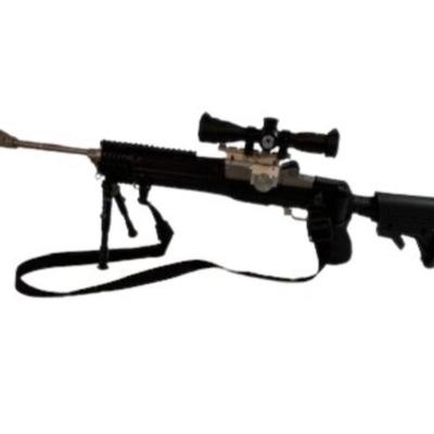 Ruger Mini 14 with Accessories
