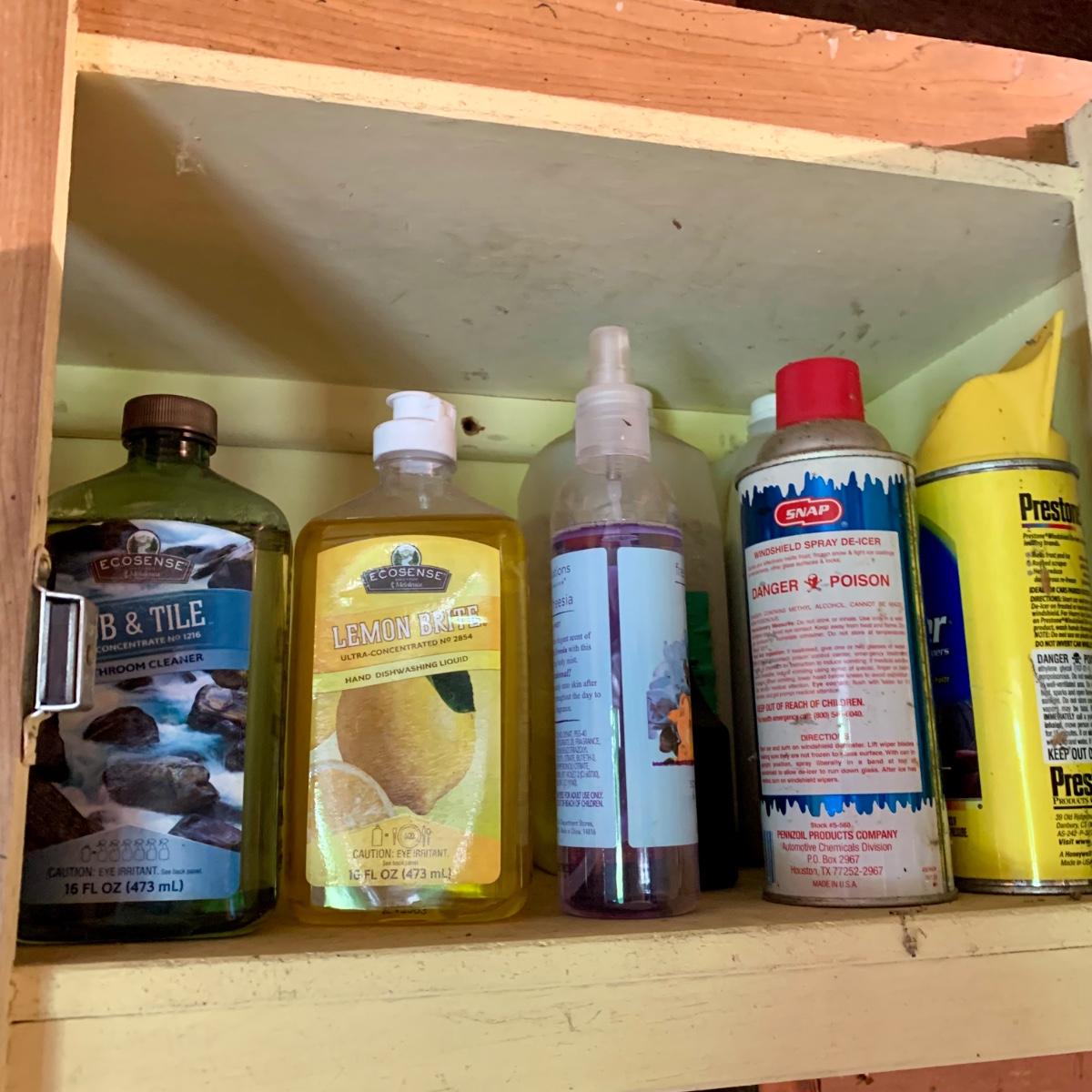 LOT 175 G Garage Shelf Clear Out Cleaners, Light Bulbs, Screws, Tape