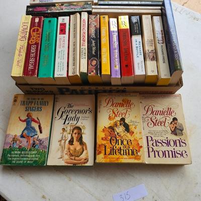Paperback fiction book lot including Danielle Steel