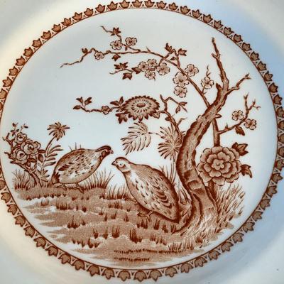 1080 Large Set of Antique Furnivals Quail Brown England China Set