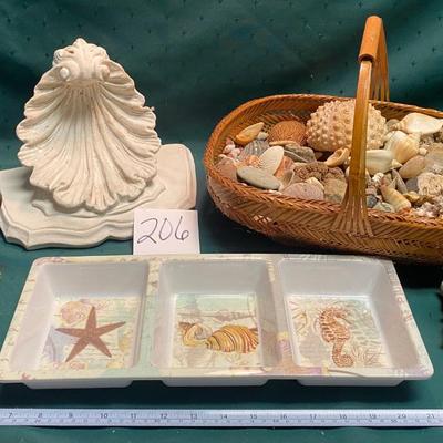Sea Shells and More