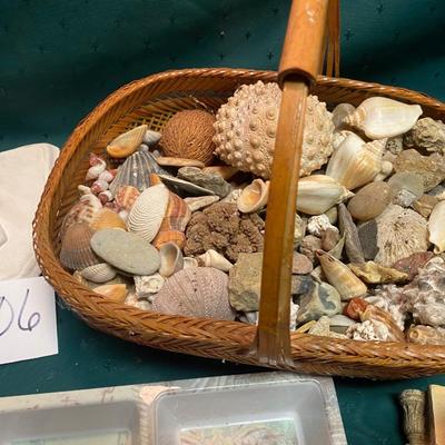 Sea Shells and More