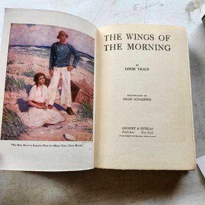 Vintage Books lot 'The Wings of the Morning" by Louis Tracy 1903
