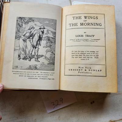 Vintage Books lot 'The Wings of the Morning" by Louis Tracy 1903