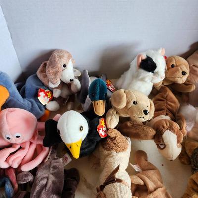 Lot of ty beanie babies. Mixed lot of beanie babies.
