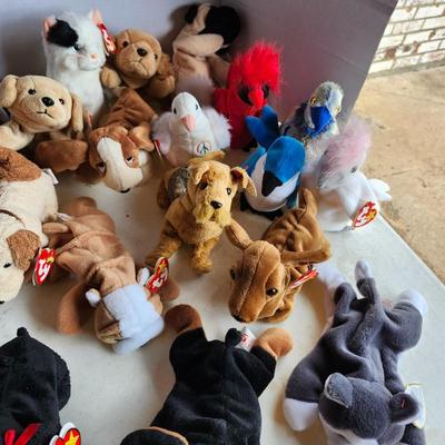 Lot of ty beanie babies. Mixed lot of beanie babies.