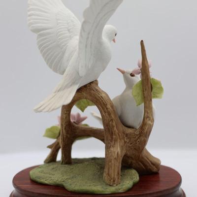 Double White Doves by Andrea Sadek