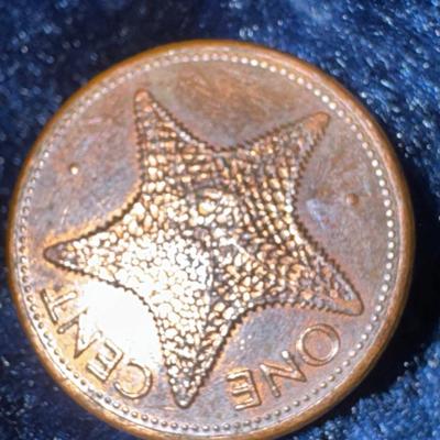 Bahamas One Cent 1992"You Grade It" - Starfish