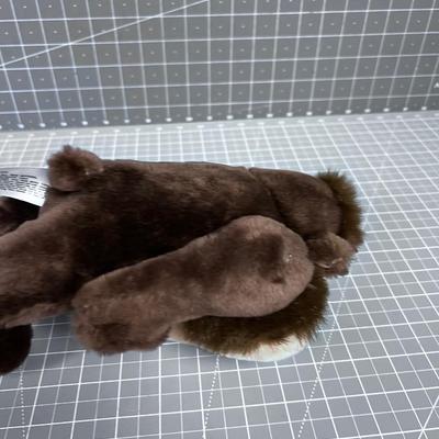  Tasmanian Stuffy 
