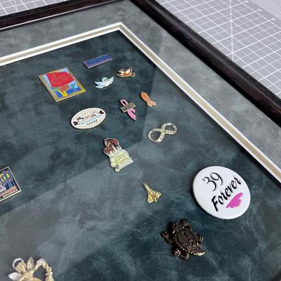 Pin Collection. Various! 